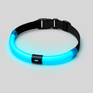 Acceuil Collier LED Rechargeable USB
